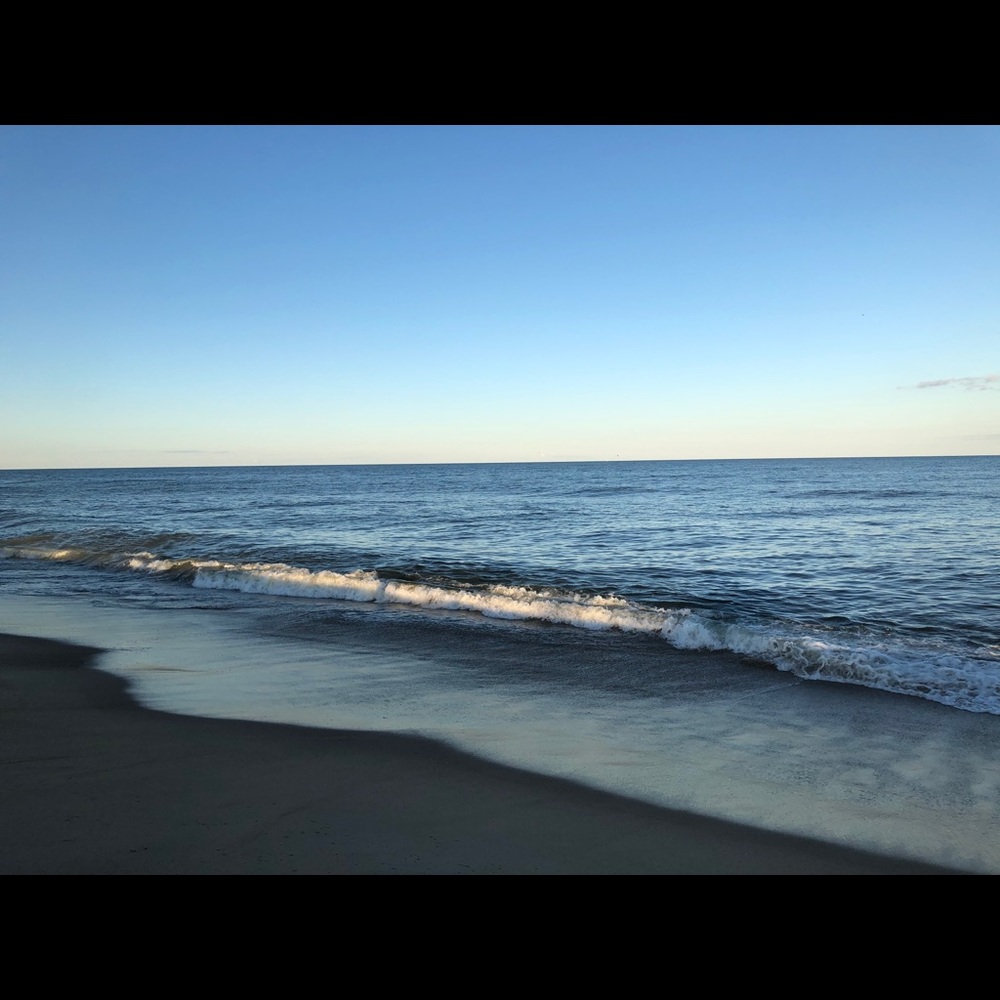 Meet your Posher, Yvette